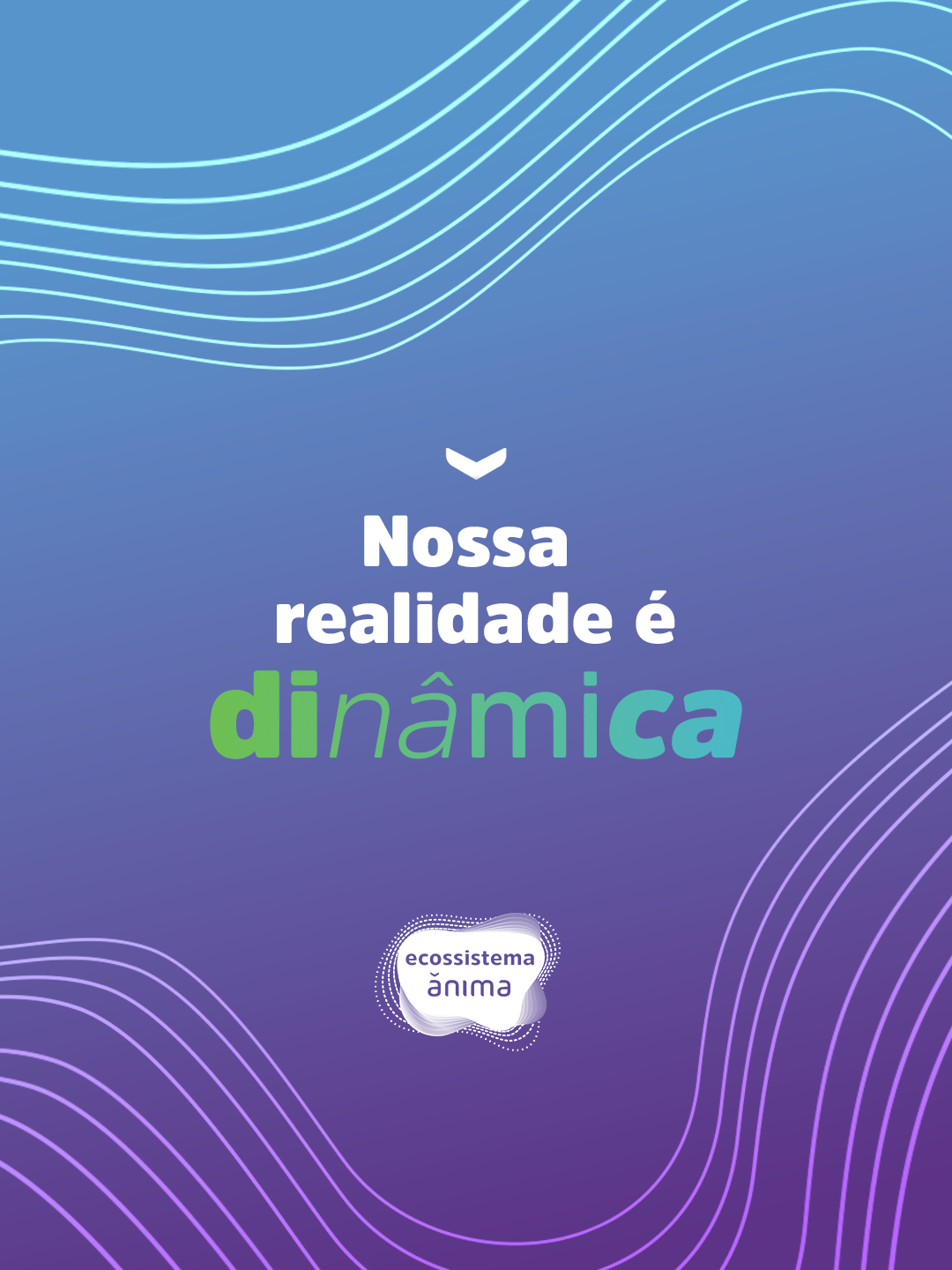 SAIDA_Trammit_Cases_Ânima_Posts_02